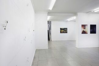 Optical Memory, installation view