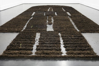 In Search of Our Ancestors' Gardens, installation view