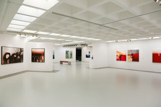 Conversations in Colour, installation view