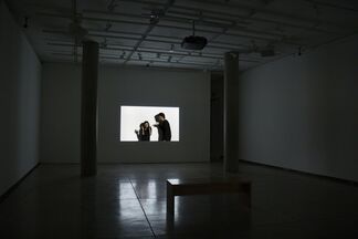 Kerry Tribe: Critical Mass, installation view
