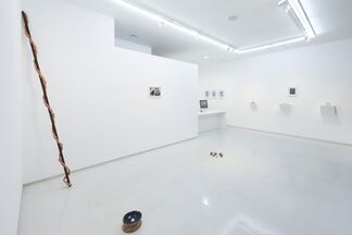 Satoshi Hirose “A Cosmology from Forest”, installation view