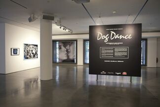 Dog Dance, installation view