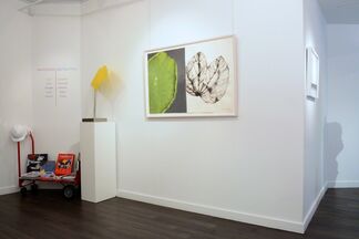 Navigating Abstraction, installation view