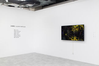 Illusive Particles, installation view