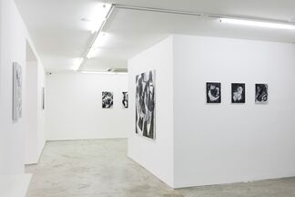 Antonio Malta Campos, installation view