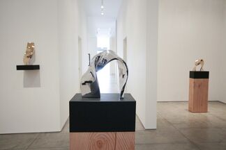 Jan Maarten Voskuil and Stephanie Bachiero, installation view