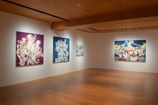 The patterns, installation view