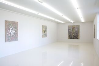 Beyond Appearances, installation view
