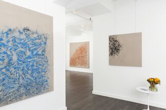 Vicky Colombet: Earth, installation view