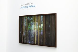 Jungle Road, installation view