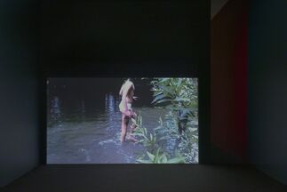 Deanna Thompson | Michel Auder    MIXING UP THE MEDICINE, installation view