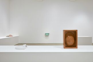Nicolas Deshayes, Swans, installation view