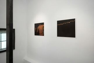 Daniel Tsal | Darius, installation view