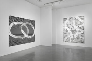 Toby Ziegler: The sudden longing to collapse 30 years of distance, installation view