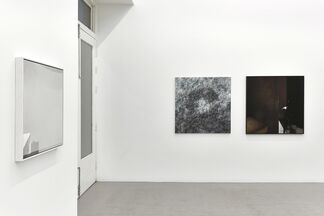 Transects, installation view