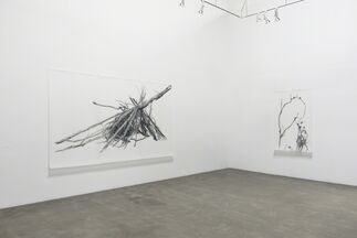 Lynn Hanson's Wrack & Bramble Field Notes and Meditations, installation view