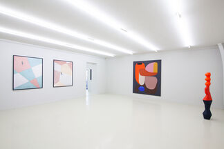 Duo Show - Serge Najjar and Stephen Ormandy - 'Shapes are Colors!', installation view