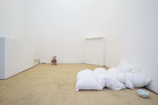 Andrea Zucchini: Foresight by Earth, installation view