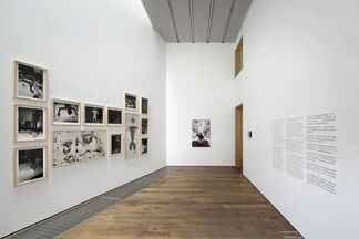 Ink and the Body, installation view
