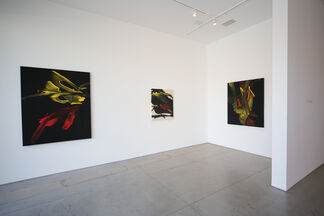 Ed Moses and John Zinsser, installation view