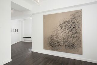 Vicky Colombet: Earth, installation view