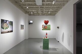 Emily Peacock "Soft Diet", installation view