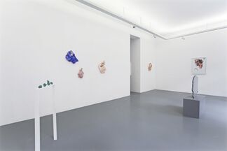 Rachel de Joode – Surfaces, installation view