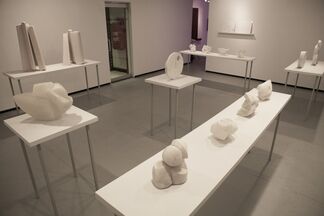 Alicia Ehni: Mapping Stone, installation view