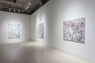 Kate Bright: Edge Lands, installation view