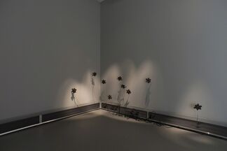 Daniel G. Baird, "murmur", installation view