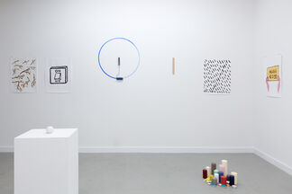 You Say You Know You Will You Do, installation view