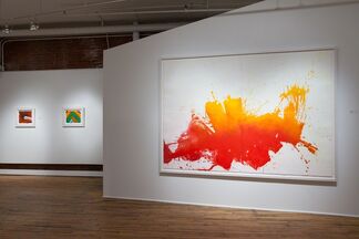Howard Hodgkin: Hand Painted and Relief Prints: 1990-2014, installation view
