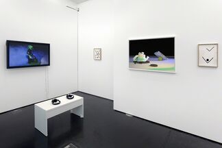 Takeshi Murata | Second Nature, installation view