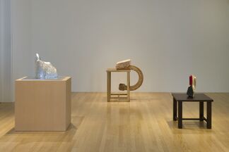 Richard Deacon and Sui Jianguo, installation view