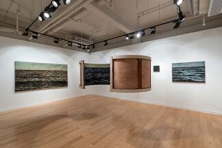Yoan Capote: Territorial Waters, installation view