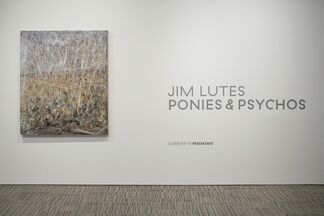 Jim Lutes: Ponies & Psychos, installation view