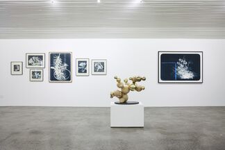Bend to Her Will, installation view