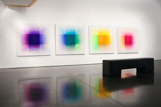 Marie Lannoo: "KIN", installation view