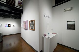 Process: The Altered Photo, installation view