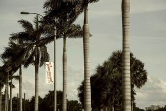 Art Palm Beach, installation view