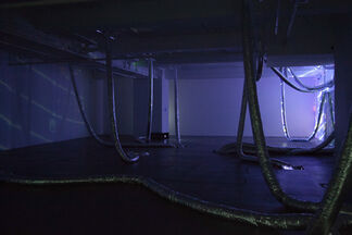 Wheezing, installation view