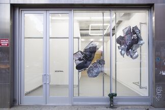 Hannah Perry - Viruses Worth Spreading, installation view
