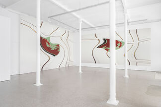 Distorted for the times, installation view