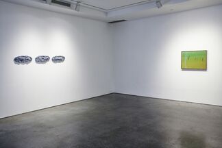 A New Visual Dialogue, installation view