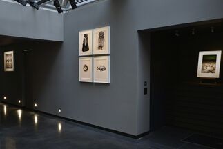 Hiro, installation view