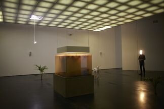 Pierre Huyghe, installation view