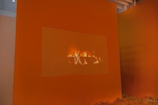 "Bloodflames Revisited", installation view