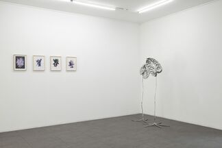 Nepenthes by İskender Yediler, installation view