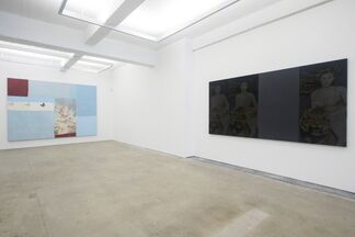 Amazons, installation view