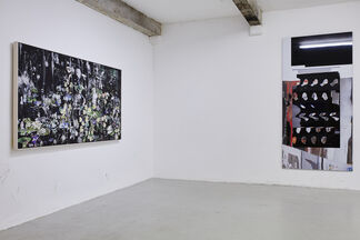 without Nature, installation view